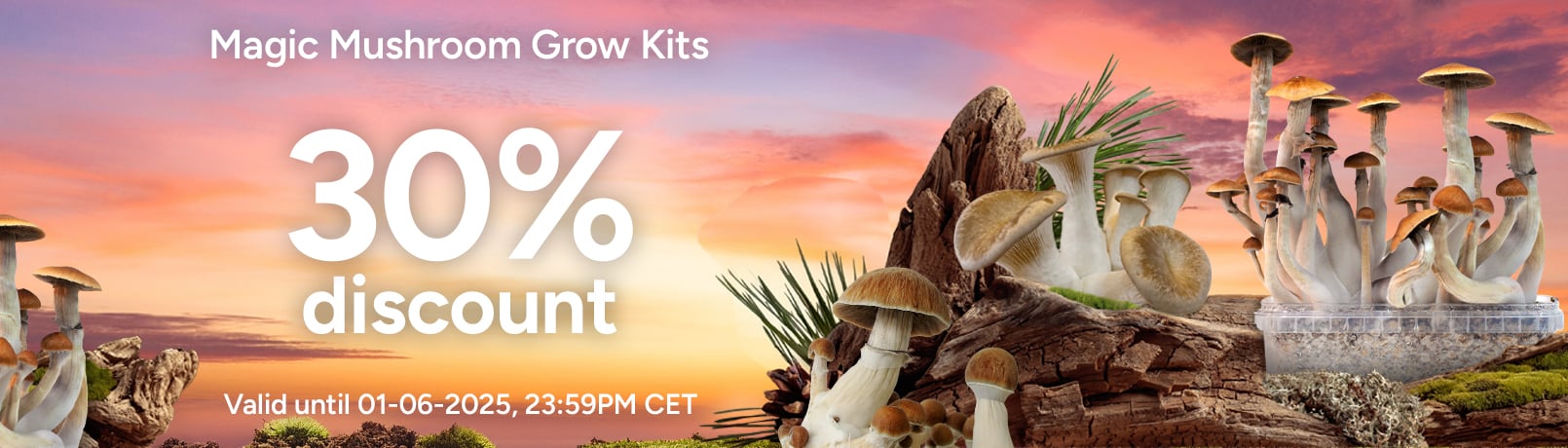 Offerpage Grow Kits EN_offer_1