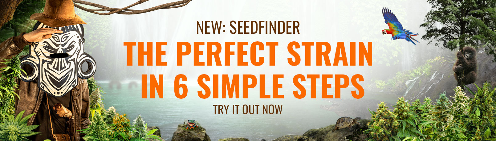 Seedfinder Current Offer Banner EN_offer