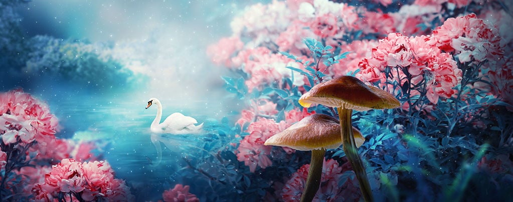 Are Magic Mushrooms Inducing a 'Waking Dream'? - Zamnesia Blog