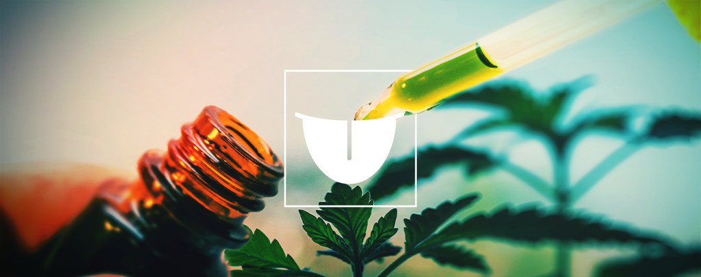 Why Using A Sublingual Cannabis Tincture Is The Best