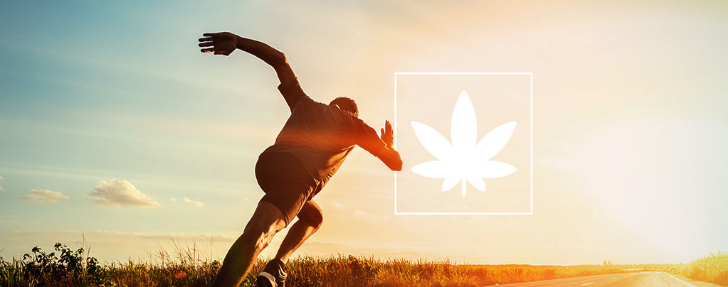 Sport Performance Cannabis