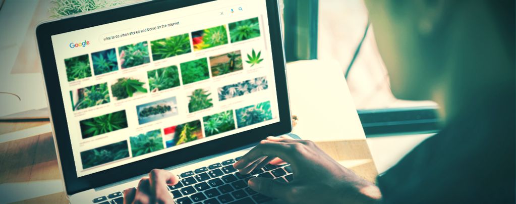 The Best Websites For Stoners