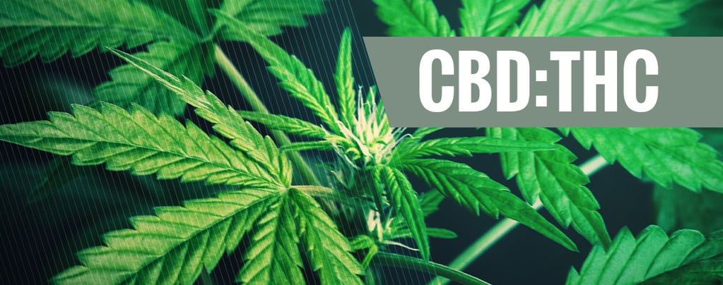 CBD:THC Ratio