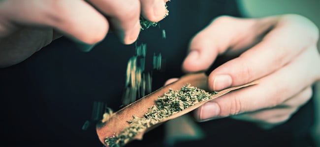 How to Roll a Blunt for Beginners in 5 Easy Steps