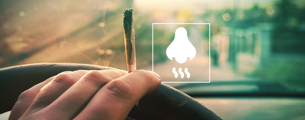 How To Eliminate Weed Smell From Your Car