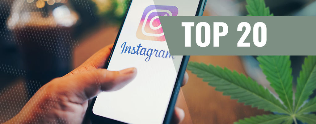 20 Best Weed Instagram Accounts To Follow [2021 Update] - Zamnesia Blog