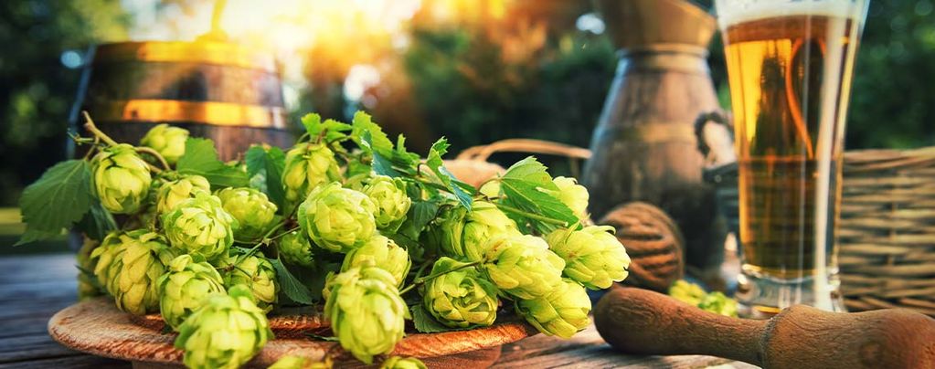 What Is Dry Hopping? 