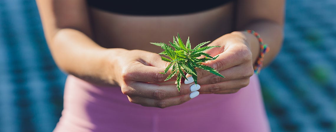 Can Weed Help You Lose Weight? 