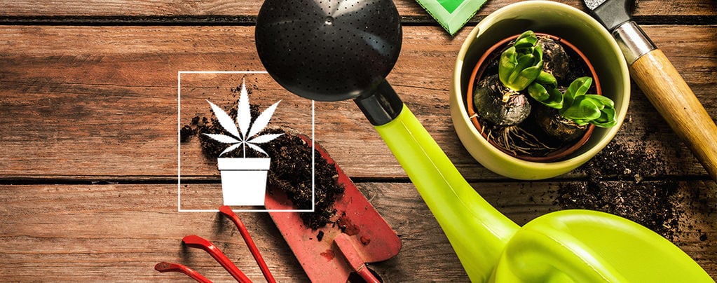 4 Ways To Measure Weed Without Scales - Zamnesia Blog