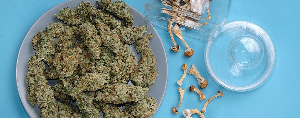 Can You Mix Weed And Magic Mushrooms?