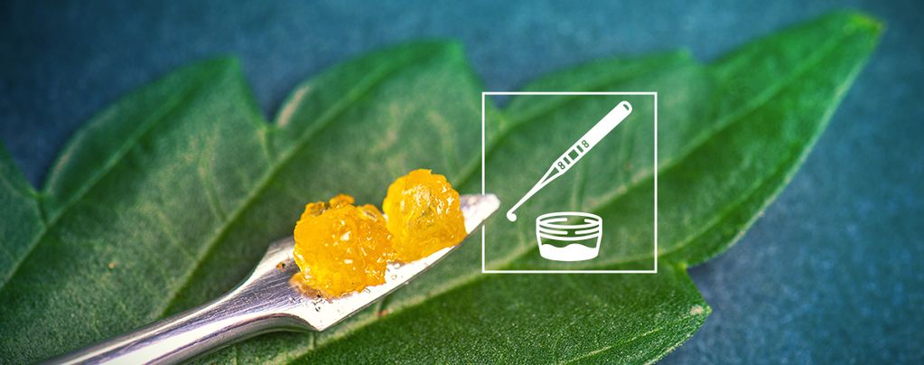 All You Need To Know About Live Resin