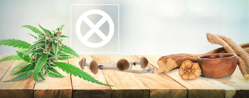 Weed, Mushrooms, Ayahuasca Aren't Drugs