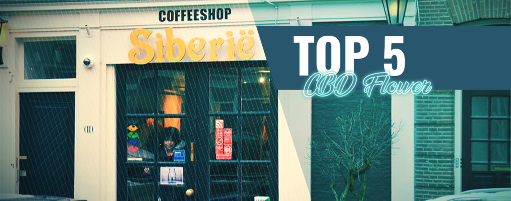Top 5 CBD Flower Coffeeshops