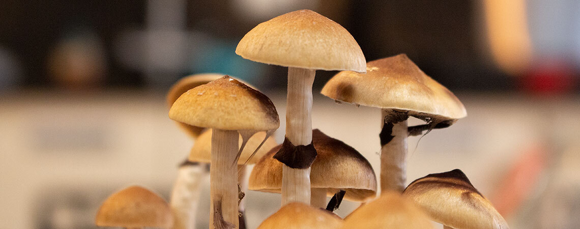 How To Prevent Magic Mushroom Side Pins