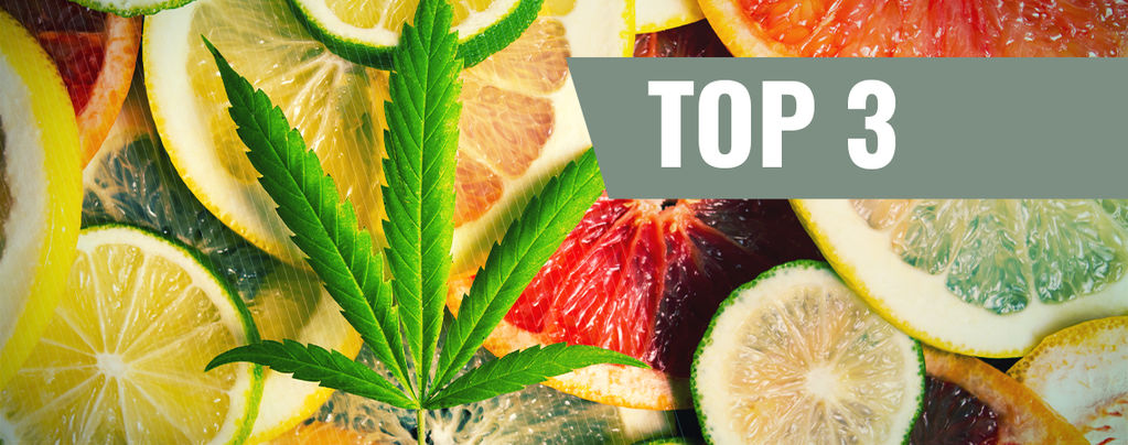 Top 3 Cannabis Strains By Terpenes