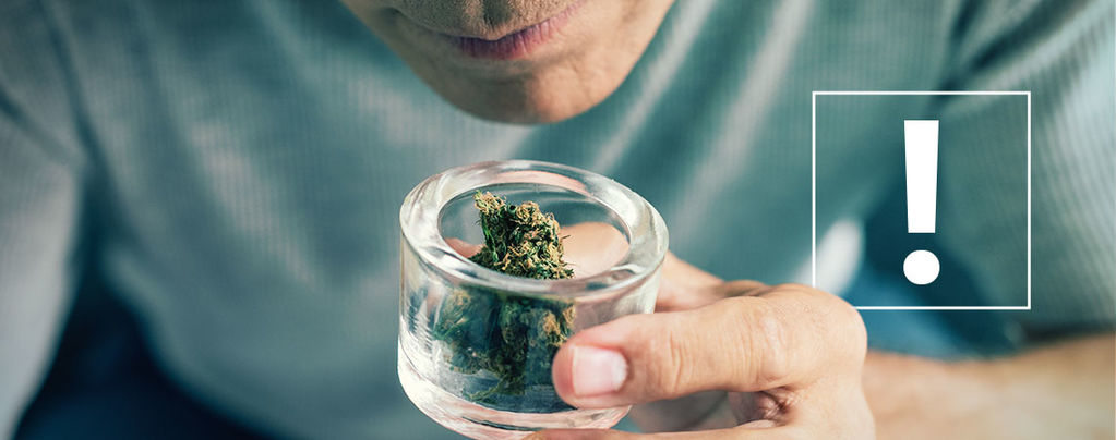 Cannabis Bud Impurities
