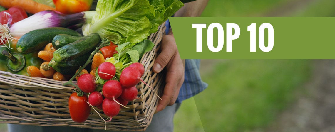 Top 10 Easiest Vegetables To Grow