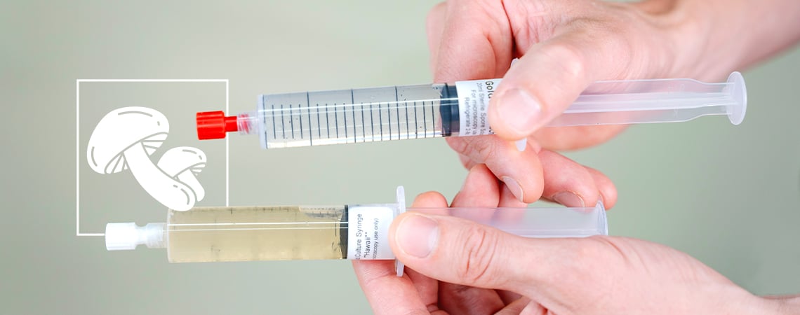 Liquid Culture Syringes Vs Spore Syringes: A Comparison