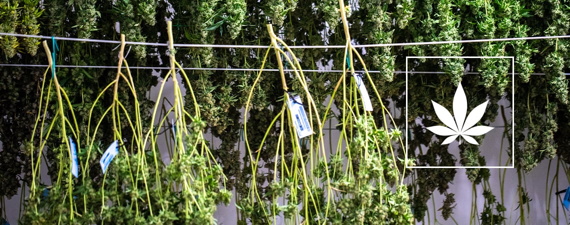 Don't Let Wire Ropes Hang Dry - Efficient Plant