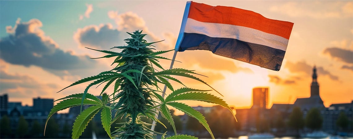 New Era For Dutch Cannabis As Legal Sales Begin