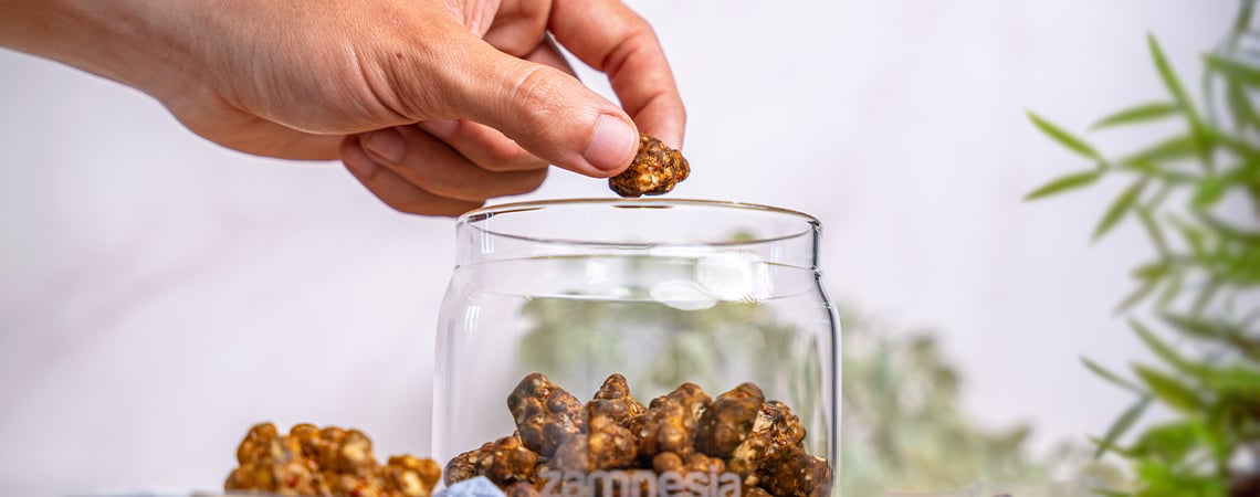 How to store magic truffles?