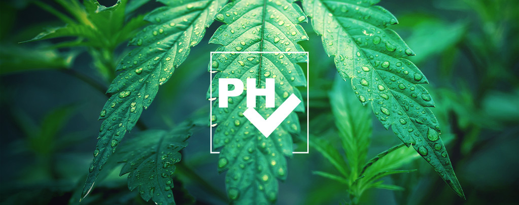 Adjust pH Level Cannabis