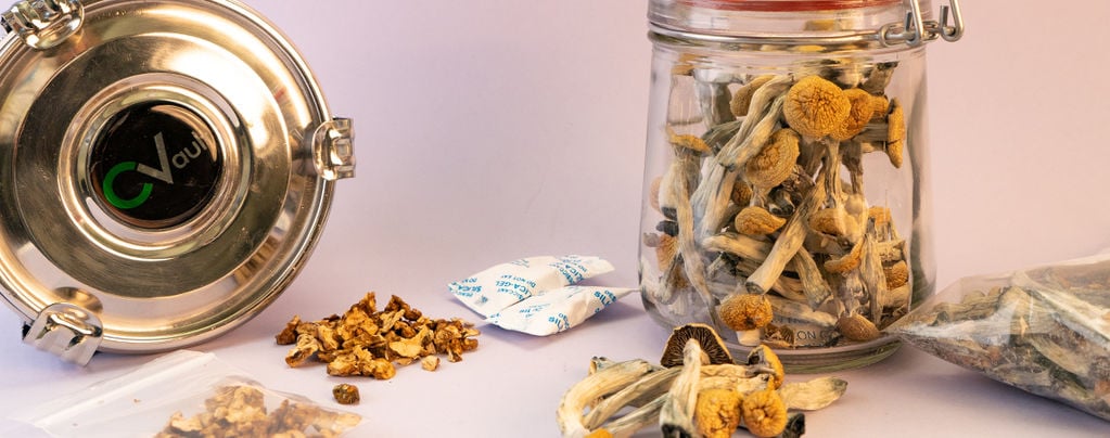How To Dry Magic Mushrooms - Zamnesia
