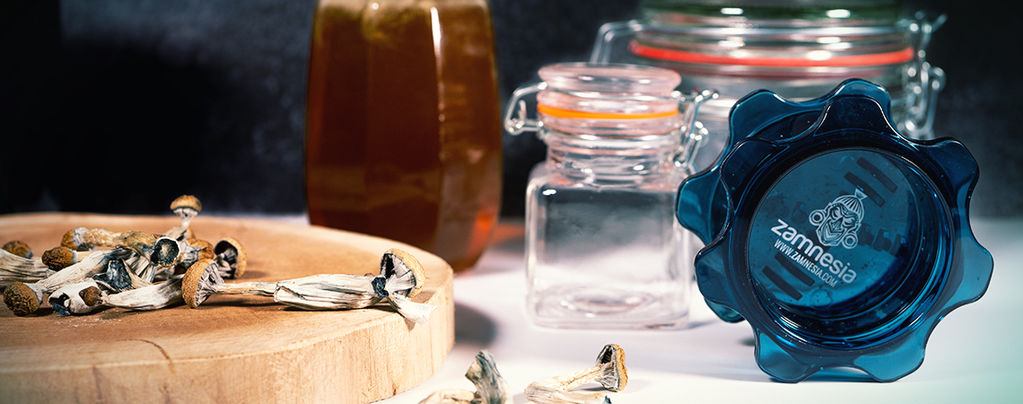 Blue Honey: Making Psychedelic Honey With Magic Mushrooms