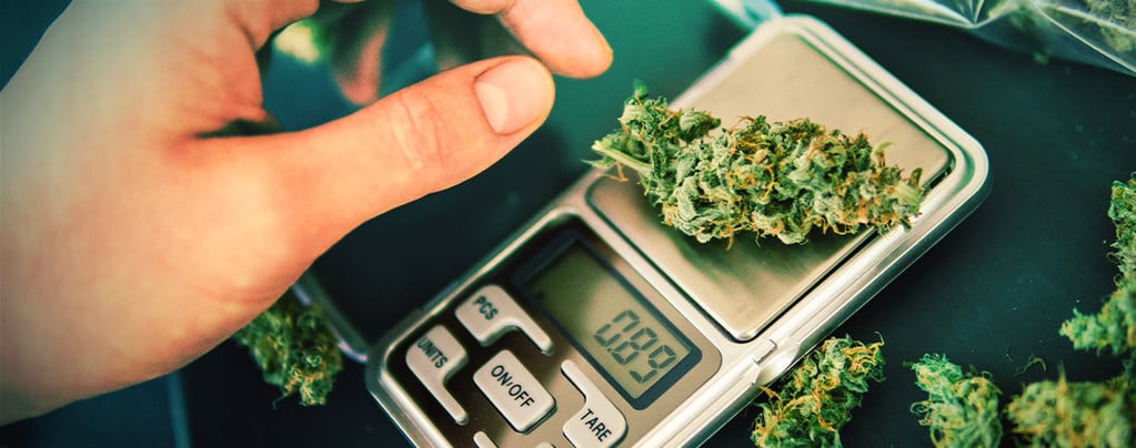 The Ultimate Guide to Weed Scales: Find the Best Type for Cannabis