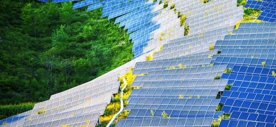 How Solar-Panels Could Revolutionise Grow Rooms