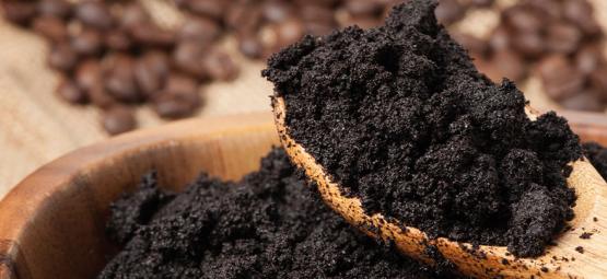 Recycle Coffee Grounds And Keep Your Plants Happy