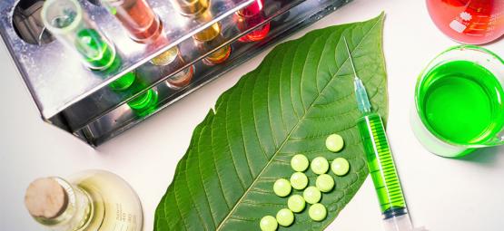 Does Kratom Show Up On A Drugs Test?