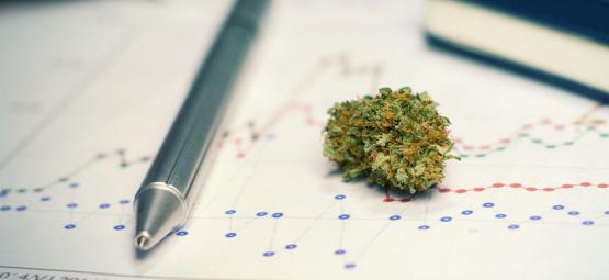 The Pros (And Cons) Of Using Cannabis For Studying Or Training