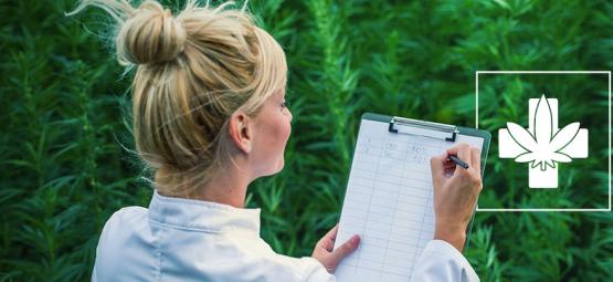 How To Choose The Right Medical Strain For You