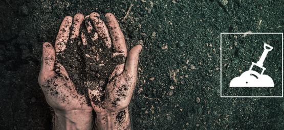 What Is Recycled Organic Living Soil (ROLS) And How Do You Make It? 