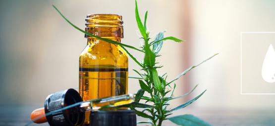 A Complete Guide To CO₂ Cannabis Oil