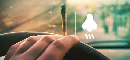 How To Eliminate Weed Smell From Your Car