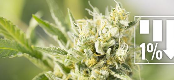 6 Cannabis Strains With 1% THC Or Less