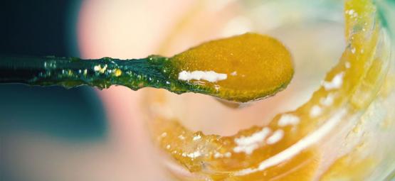 How to Make THC E-Liquid With Wax Liquidizer - Zamnesia Blog