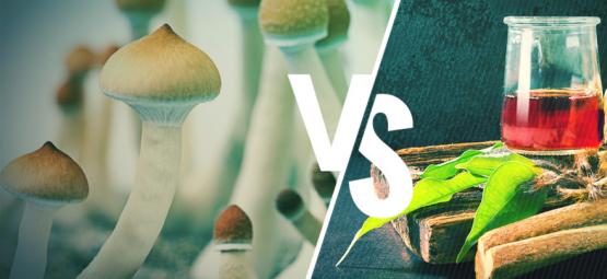 Ayahuasca vs Magic Mushrooms: What’s the Difference?