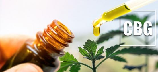 What Is CBG Oil?