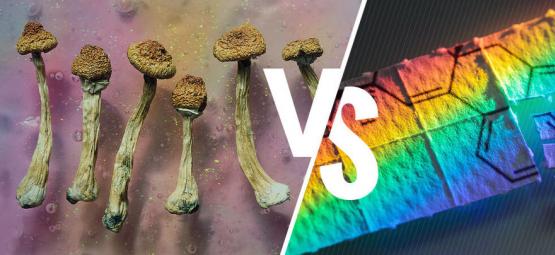 Magic Mushrooms Versus LSD: What's The Difference? 