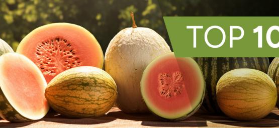 Top 10 Special Melon Varieties