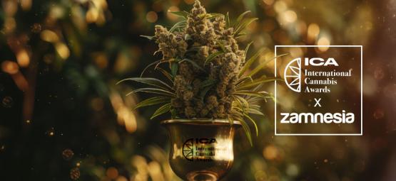 International Cannabis Awards 2024 — Zamnesia Wins Big!