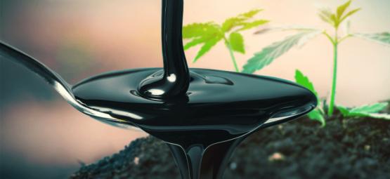 Molasses And Cannabis: Taking Your Soil To The Next Level