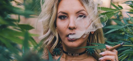 Cannabis and the digital age: Influencers shaping the industry