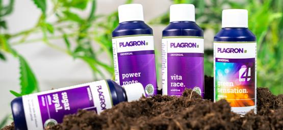 Best organic fertilisers for cannabis cultivation