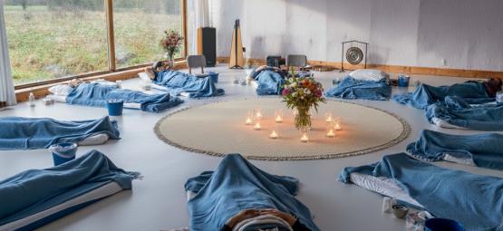 A safe inner journey with truffles: Understanding the process, guidance, and experience