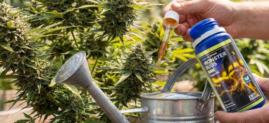 Maximise Growth with Monster Buds: A Complete Fertiliser Range for Every Phase of Growth