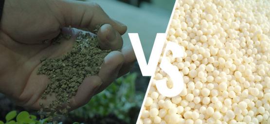 What's The Difference: Synthetic Vs. Natural Fertilizer